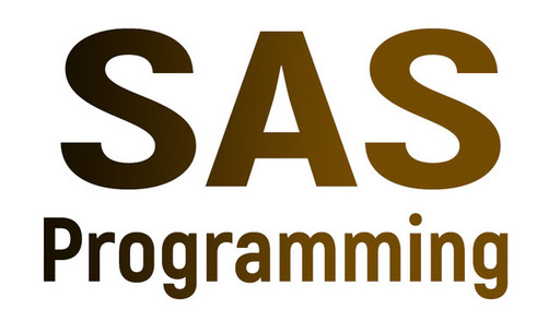 SAS.jpg